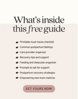 Digital Postpartum Planner
