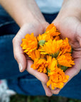 Baby Calendula Soap Bar